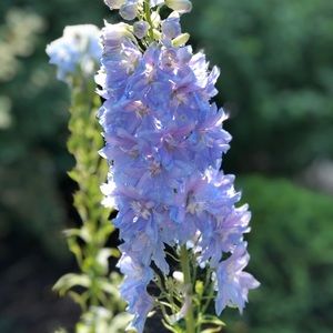 Meet your Posher, Monika